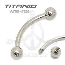 Raw Titanium Micro-curved Barbell