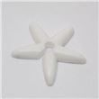 PTFE Implant
