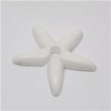 PTFE Implant