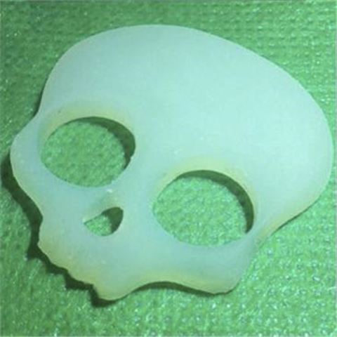 CALAVERA. Implante de RATA