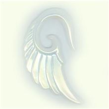 WING Spiral expander