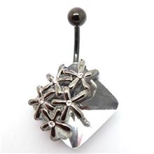 Starfishes Belly Bar