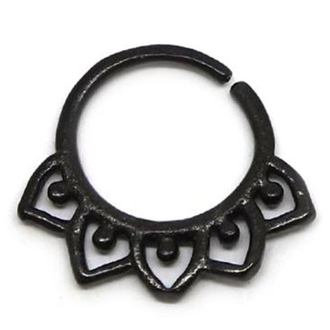 Septum Étnico ASEP9