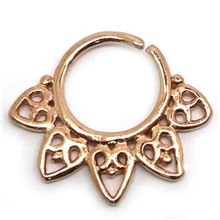 Septum Étnico ASEP1