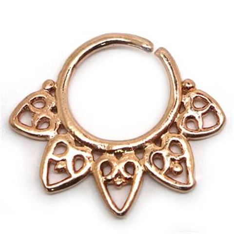 Ethnic Septum ASEP1
