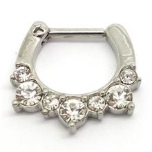 Septum SEPA24. Joya