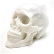 Calavera de silicona