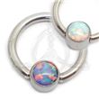 BCR with Opal Disc