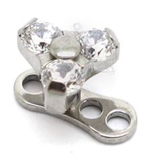 TRINITY Micro-Dermal