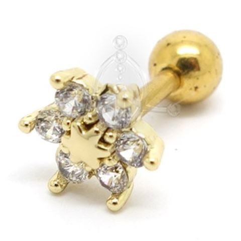 Tragus Flor Dorada Multijoya