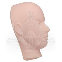 3D Practice Head