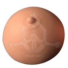 3D Areola practice mold (1)