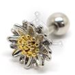Tragus Margarita Oro 42