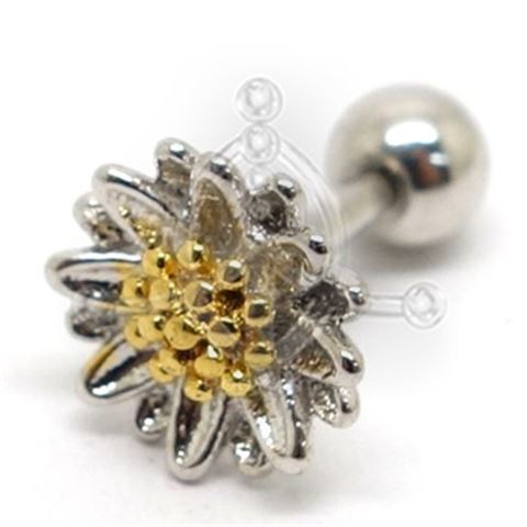 Tragus Margarita Oro 42