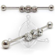 Barbel Industrial 3 Joyas