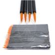 Disposable Eyeliner Applicator (2)