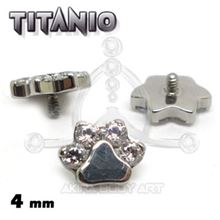 Titanium replacement INTERNAL THREAD - FOOTPRINT