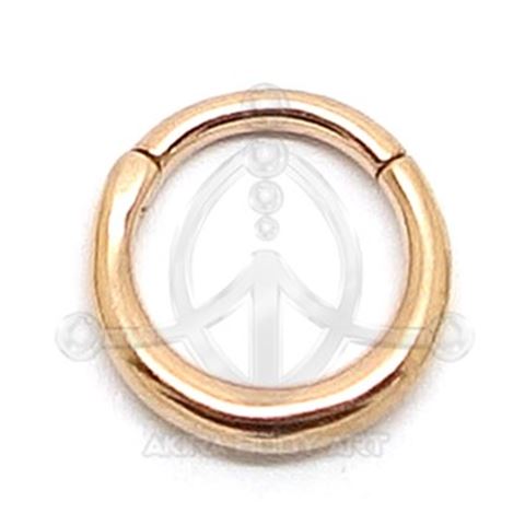 Segmented hoop - ROSE GOLD