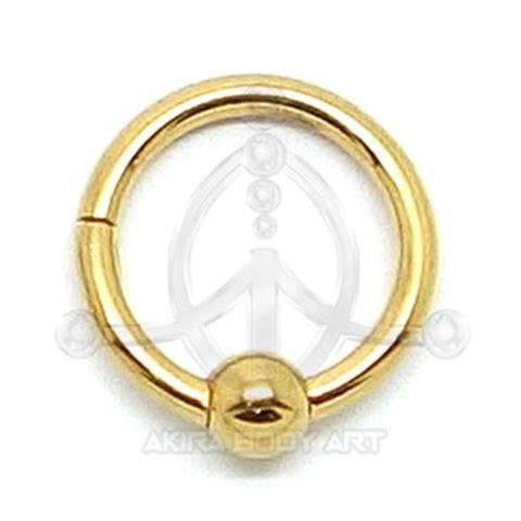 Segmented ring with BCR shape