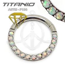 Segmented ring 14 opals
