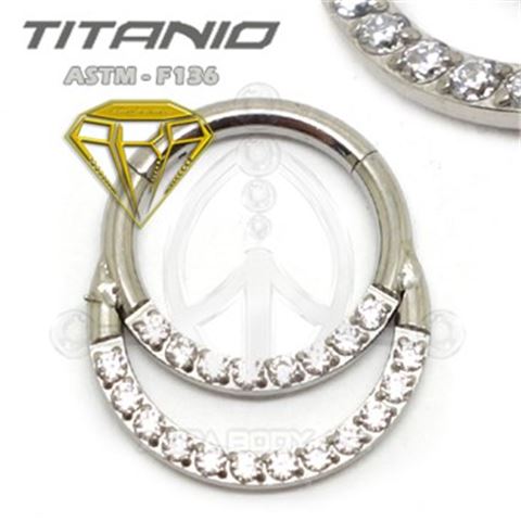 Segmented ring 2 overlapping rings