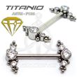 Titanium Jewelry and Balls Nipple Shield