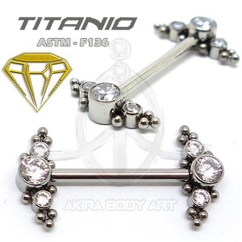Titanium Jewelry and Balls Nipple Shield