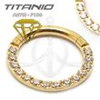 Segmented jewelry hoop – GOLD (2)