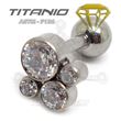 Tragus 4 Joyas