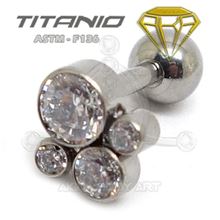 Tragus 4 Joyas