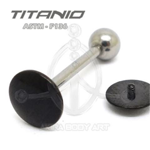 Barbell CHAPA Negra 1.6x16