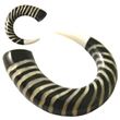 Dilatador hueso espiral cebra