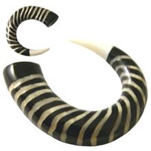 Dilatador hueso espiral cebra