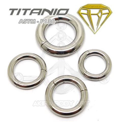 Hinged Segment Ring