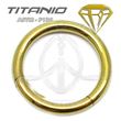 Segmented Ring Hinge GOLD - ANODIZED TTANIUM