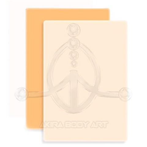 DNA4 Practice Skin