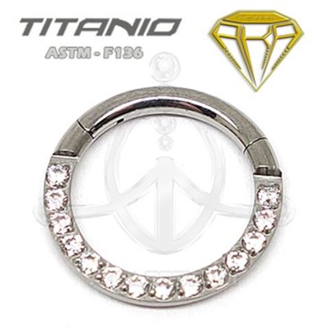 Segmented jewelry hoop
