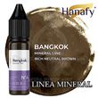 N4 BANGKOK - EXCLUSIVE USE FOR PRACTICES