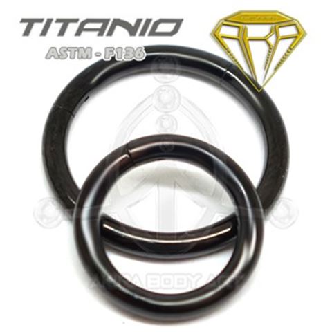 Segmented Hinge Ring BLACK - TITANIUM