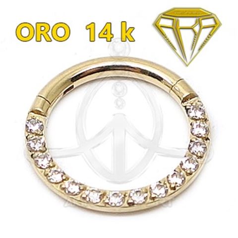 Segmented Hoop with Jewelry - 14K