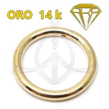 Aro Segmentado con bisagra - 14K