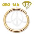 Hinged Segmented Hoop - 14K