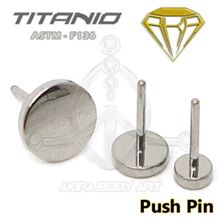 Repuesto Chapa - PUSH PIN