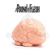 A Pound of Flesh Mini Animals - Pangolin