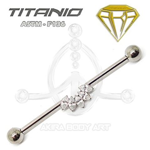 Barbel Industrial Corona Joyas