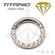 Segmented Septum Hoop - Cubic Zirconia