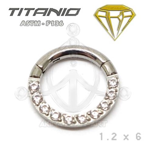 Segmented Septum Hoop - Cubic Zirconia