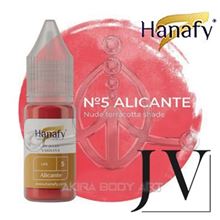 N5 JULIA VASILEVA - Prácticas