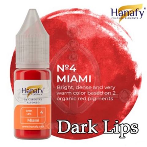 MIAMI - Carolina Alfonzo - Prácticas