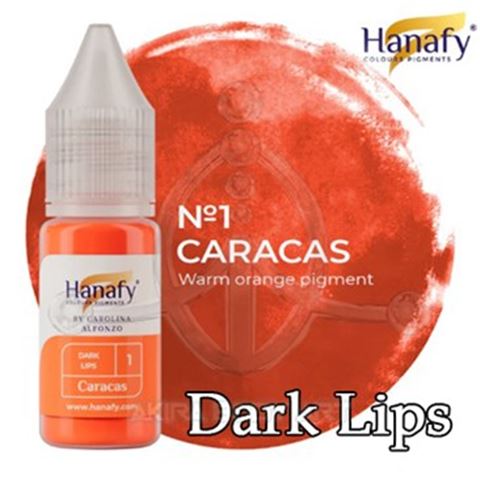 CARACAS - Carolina Alfonzo - Prácticas